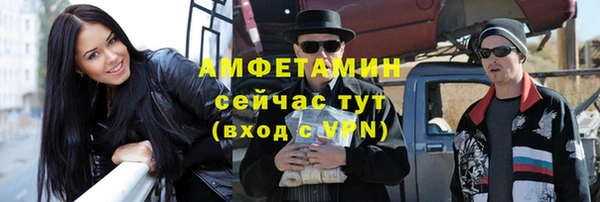 молекула духа Козловка