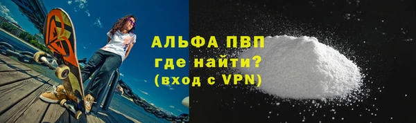 молекула духа Козловка