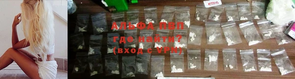 молекула духа Козловка