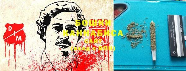 крисы Кинешма